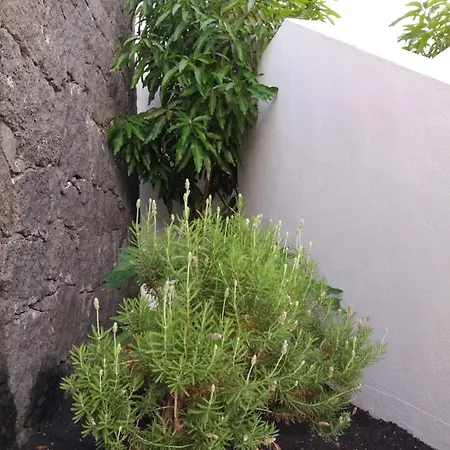 Vila Lanzarote